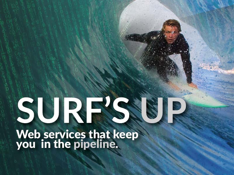 CATMEDIA Web Services Surf's up